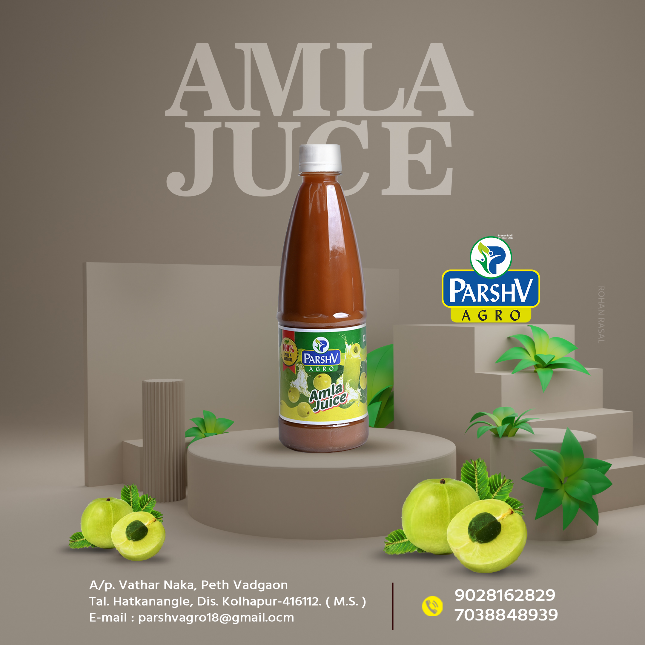 Amla Juice - PARSHV AGRO